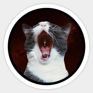 Hungry cat Sticker